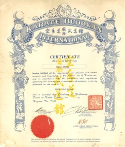 Serge Ermoll Jr Budokan Karate Black Belt certificate