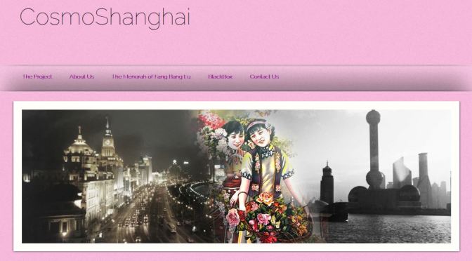 The CosmoShanghai Project