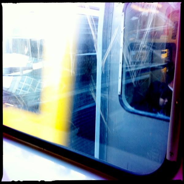 Jing Feng (Sophy Feng)